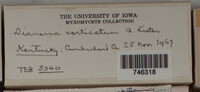 Image Associated With the Occurence
